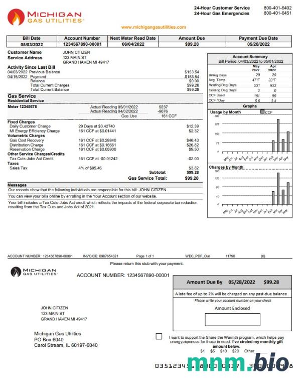 USA Michigan Gas Utilities rachunek za media szablon w formacie Word i PDF Wersja 1
